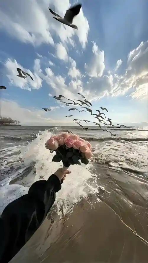 【蔚蓝秘境】｜海花壁纸：4K超清视角下的生态美学叙事