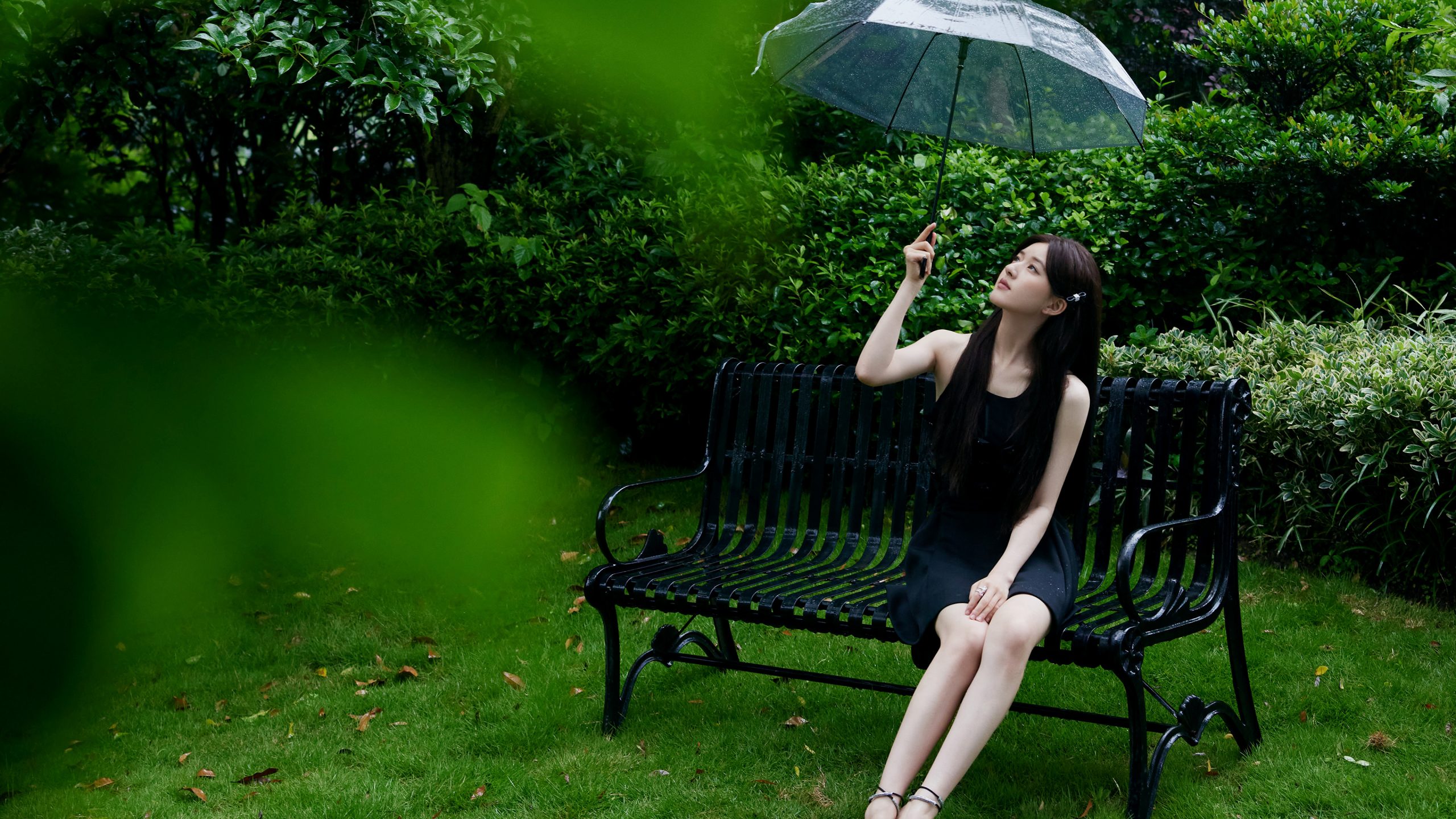 赵露思雨幕森林写真｜4K超清壁纸｜苔藓绿调与都市优雅的邂逅